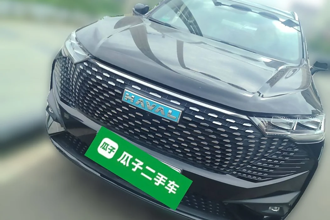 HAVER H6 NEW ENERGY 2023 DHT-PHEV 110KM LOVE VERSION