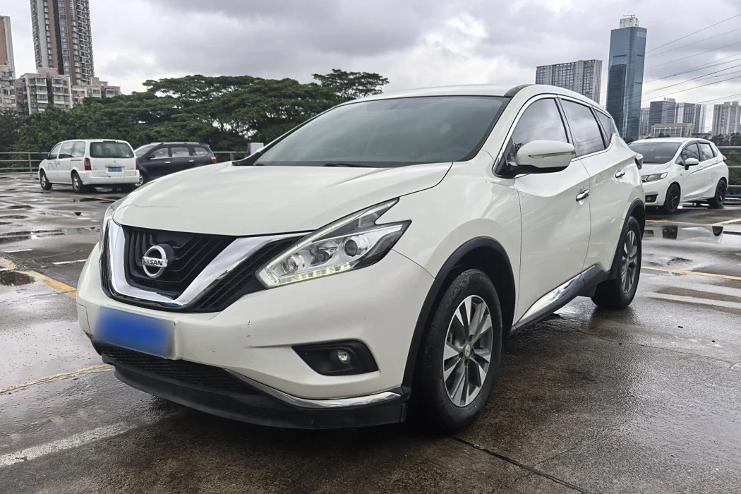 Nissan Loulan 2021 2.5L XE two-wheel drive Elite Edition