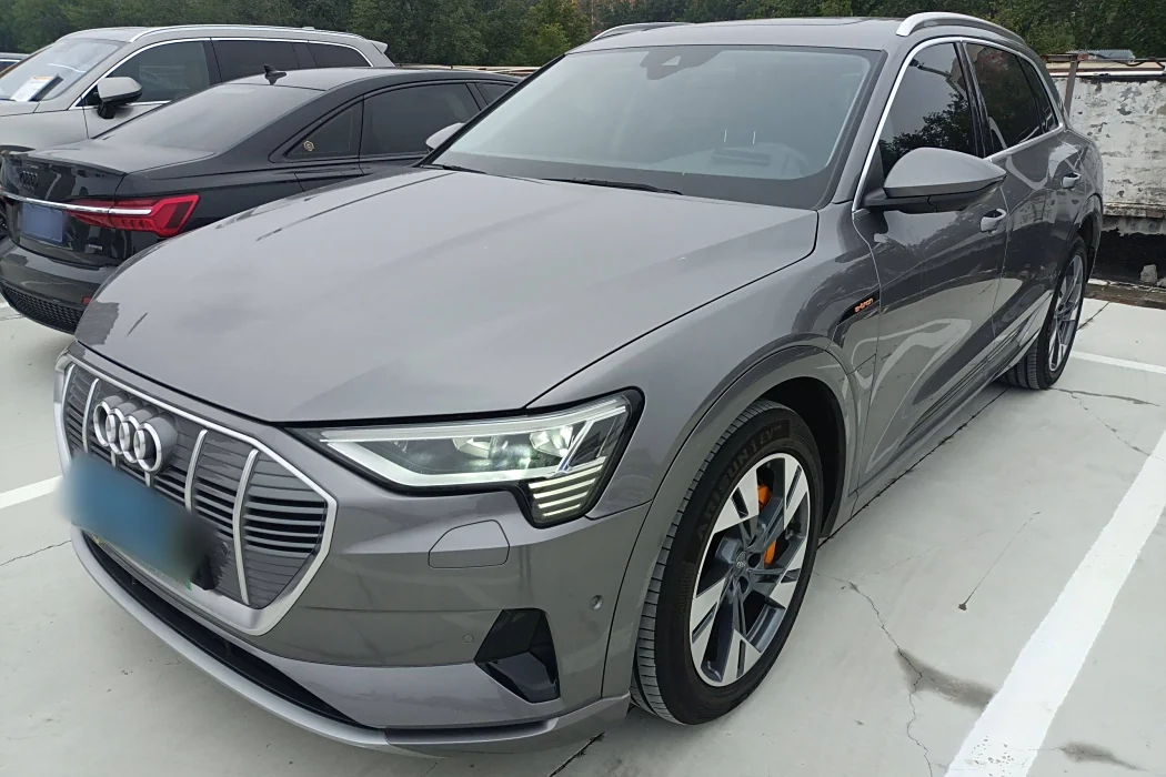 Audi e-tron (Import) 2019 55 quattro technology model year