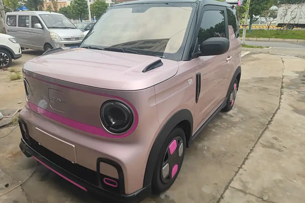 Geely Galaxy 2024 200km Panda Cardin