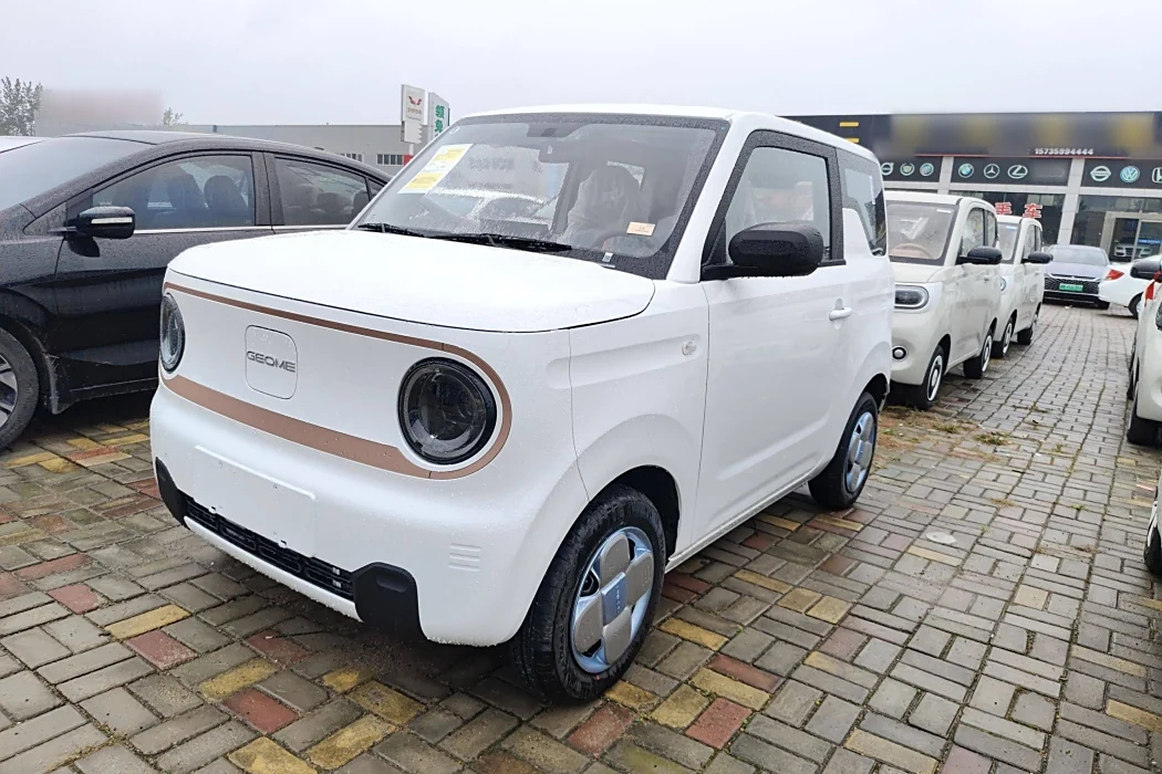 Geely Galaxy 2024 Panda mini 200km Endurance Bear