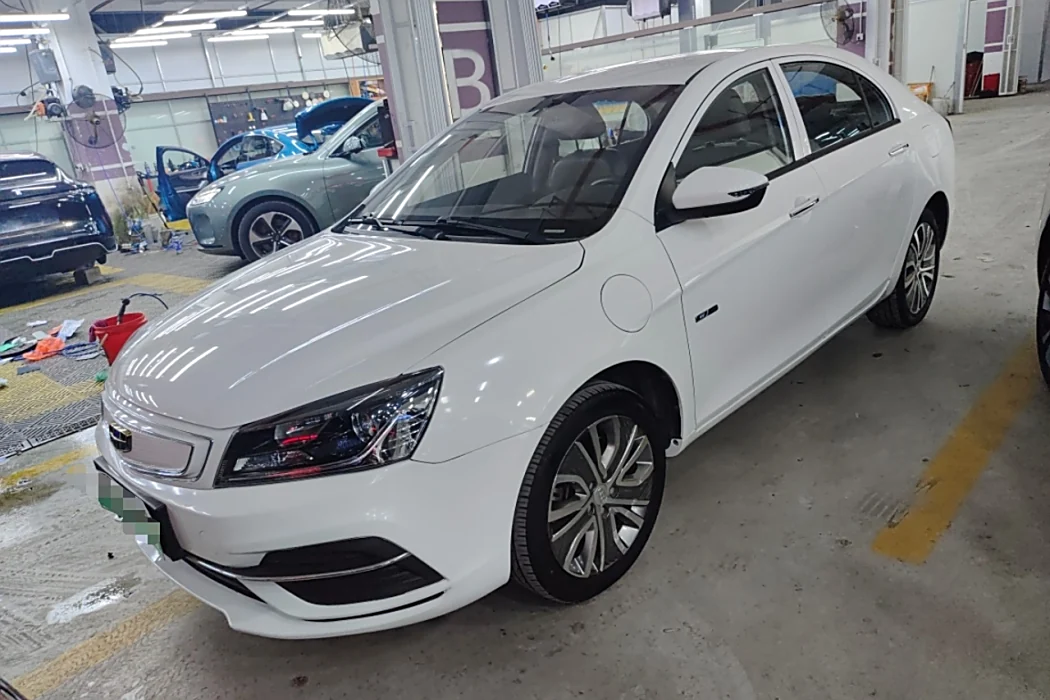 Geely Emgrand New Energy 2018 EV450 Aggressive Type