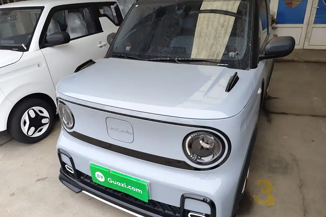 Geely Galaxy 2025 210km Panda Cardin