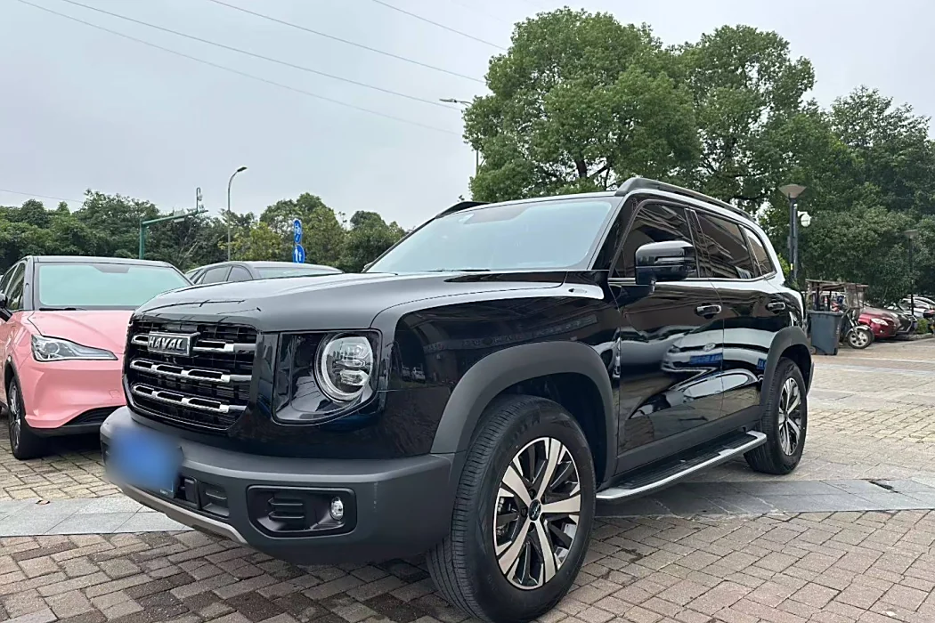 Haval Big Dog 2022 1.5T DCT Two-wheel drive Labrador Version