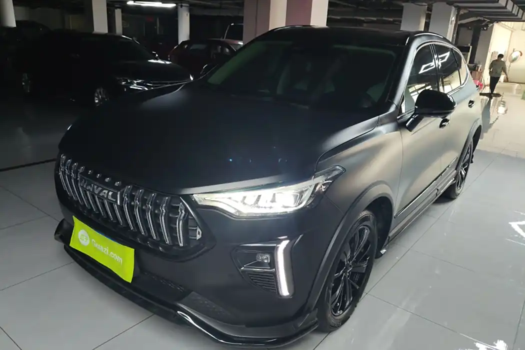 Havalanche 2021 Excite Edition 1.5T Golden Rabbit