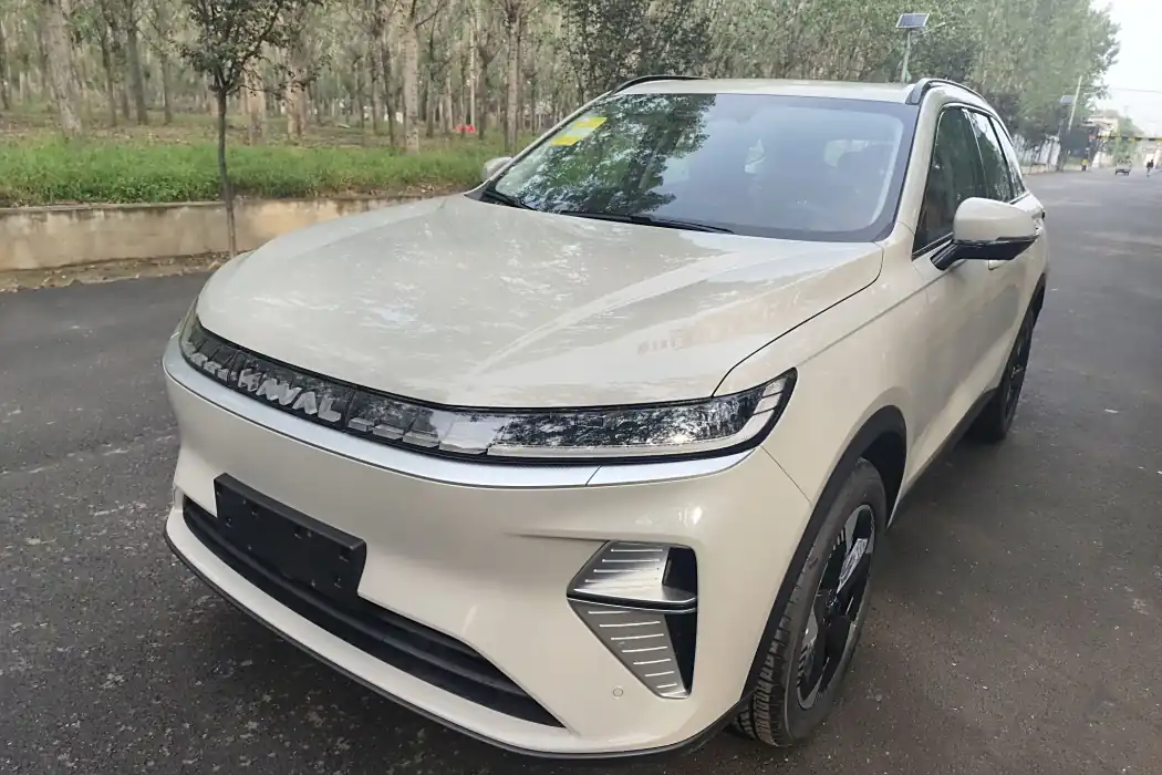 Haval Xiaolong MAX 2025 Hi4 110 Pro