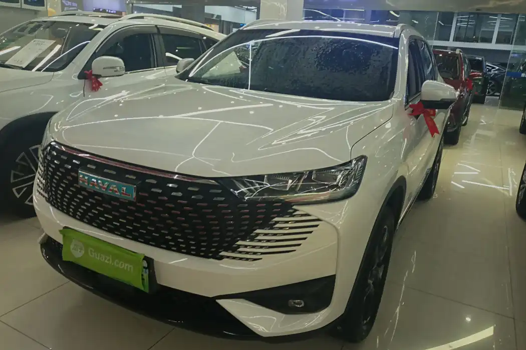 HAVER H6 NEW ENERGY 2023 DHT-PHEV 110KM LOVE VERSION