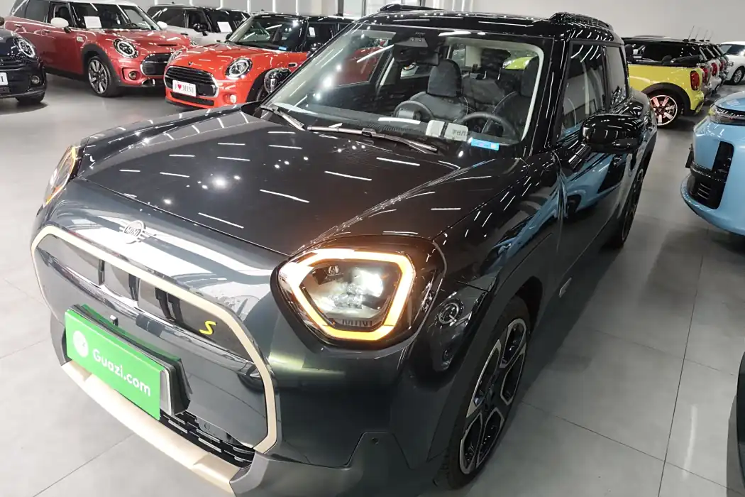 Electric MINI ACEMAN 2024 SE Artist