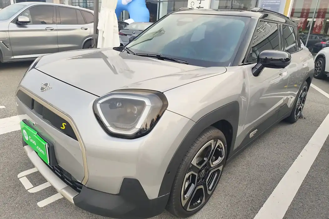 Electric MINI ACEMAN 2024 SE Artist