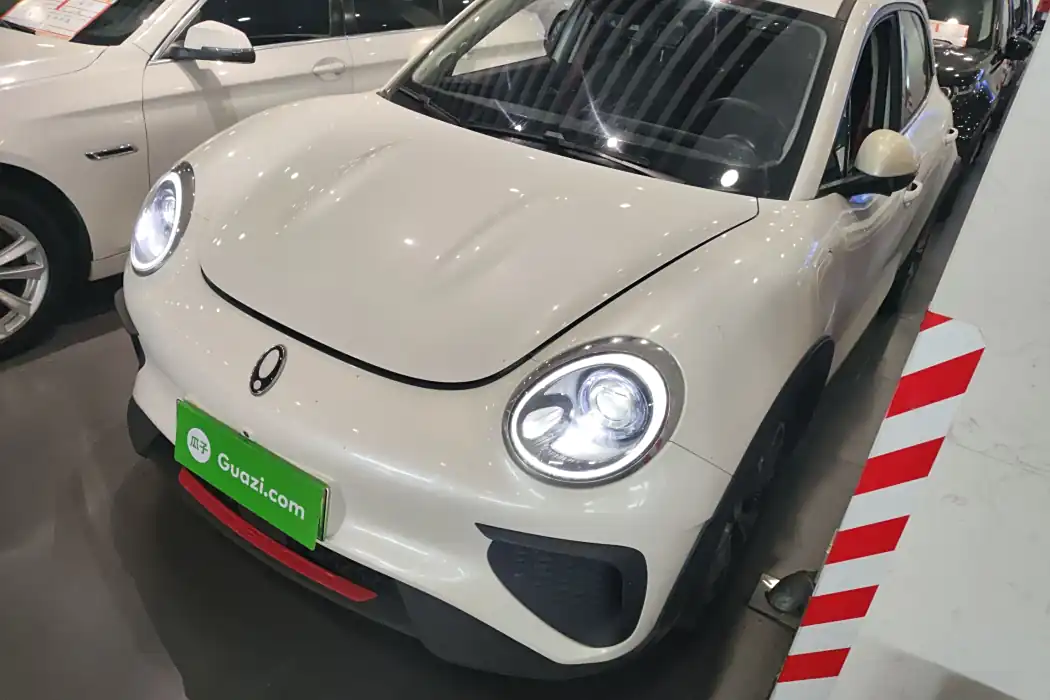 Euler Good Cat GT 2023 Mulan Version 401km Luxury