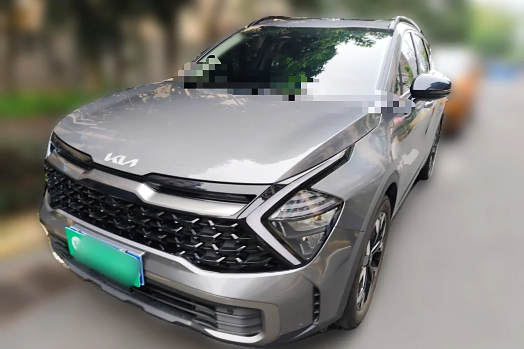 KIA Lion Platinum Extension 2023 2.0T Two-wheel drive Premium Edition