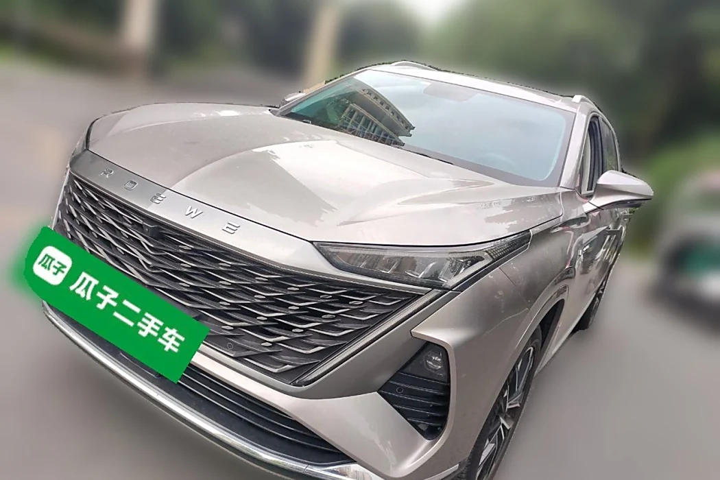 Roewe RX9 2023 2.0T two-wheel drive Premium edition