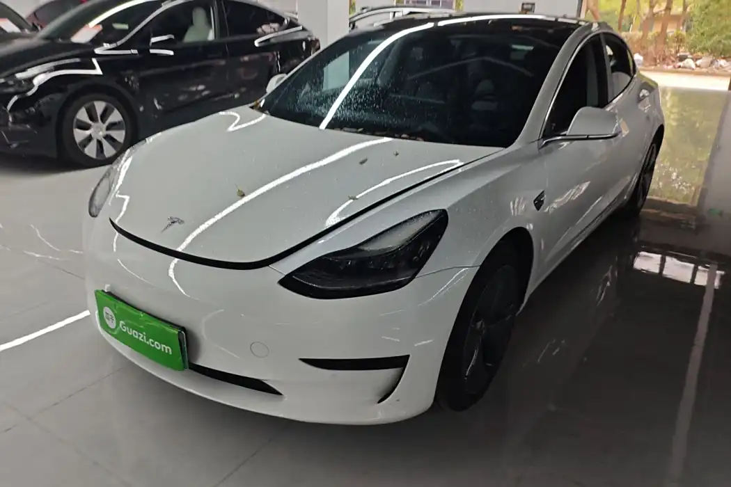 Tesla Model 3 (imported) 2019 standard battery life rear drive upgraded version (52 degrees)