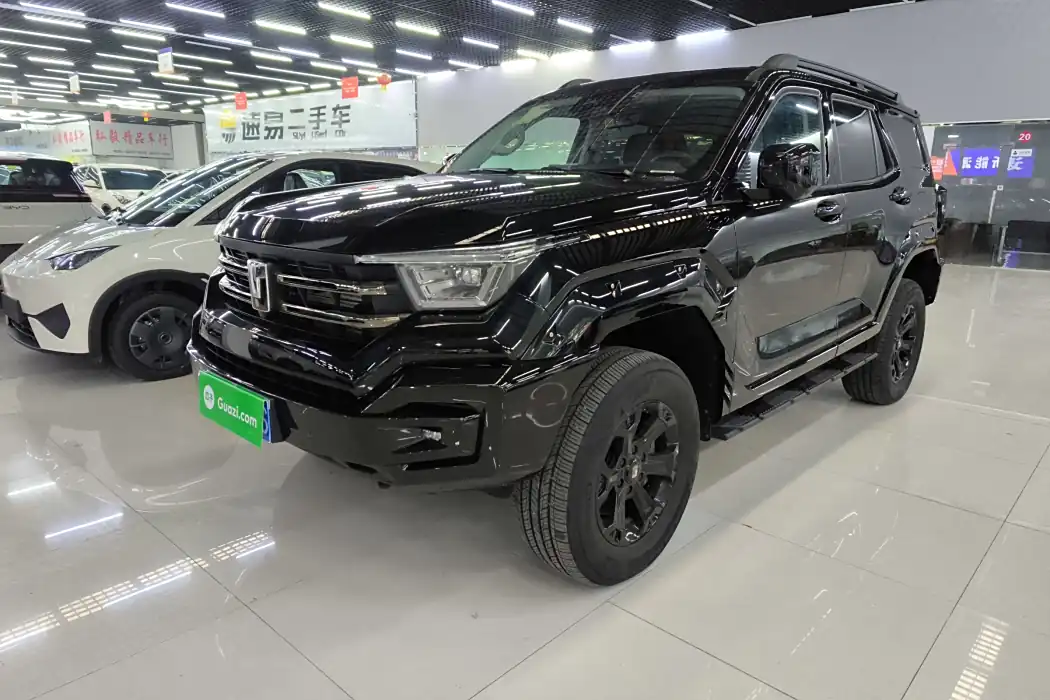 Tank 400 2025 2.0T gasoline version
