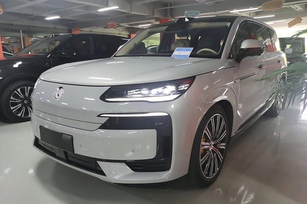 Denza N9 2025 Premium Model