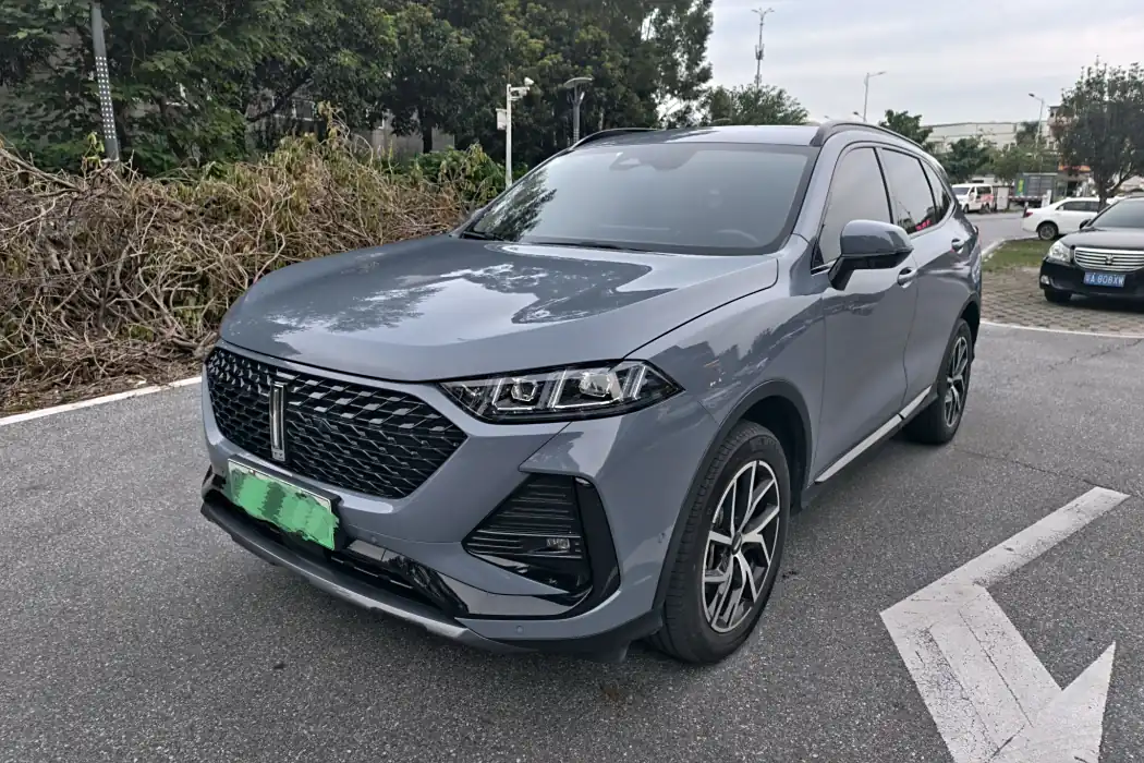 Wei brand latte DHT-PHEV 2022 1.5T two-wheel drive oversized cup