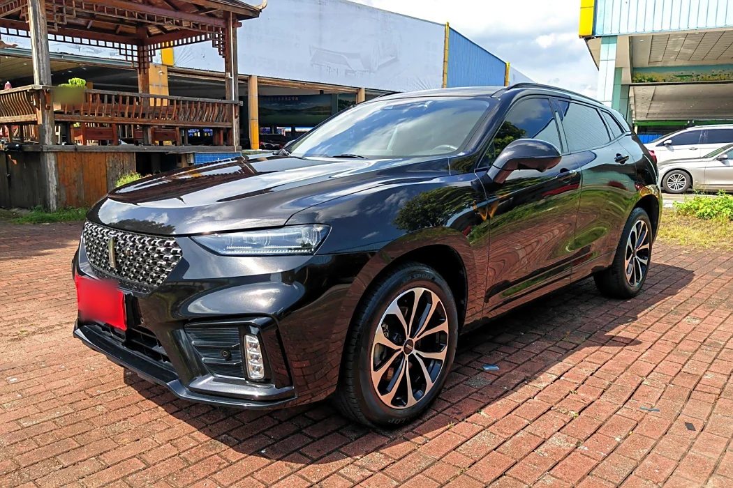 Wei brand VV7 2020 2.0T super Luxury type