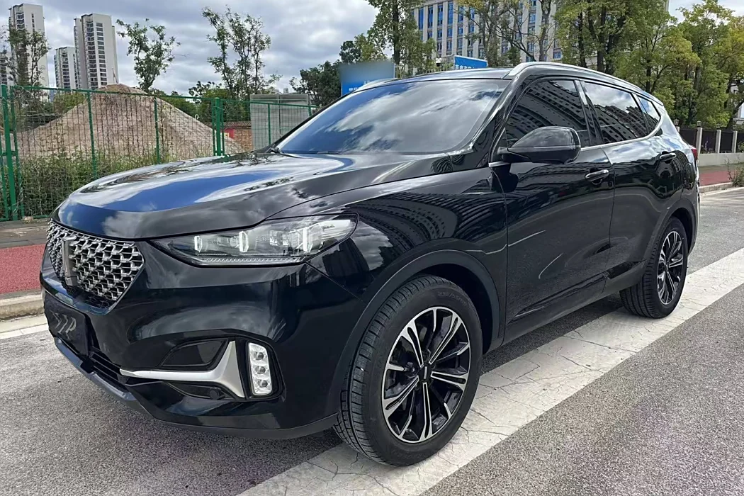 Wei brand VV6 2021 2.0T two-wheel drive smart enjoy+