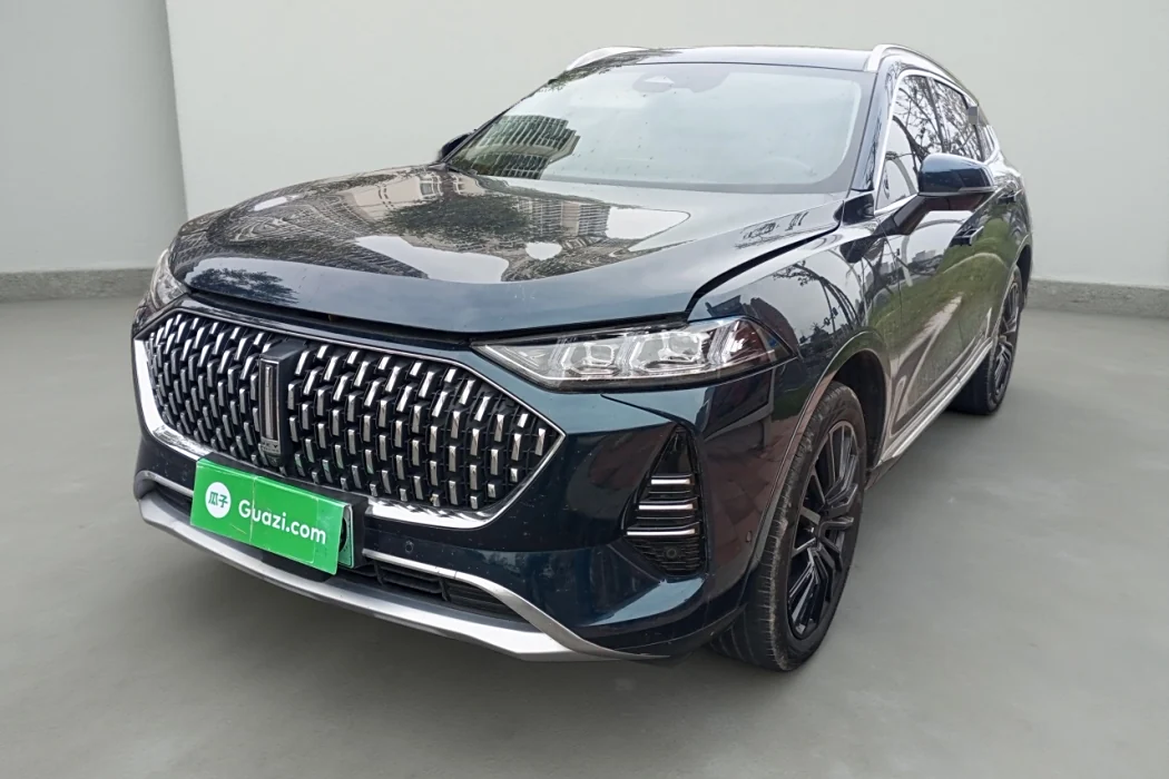 Wei brand Mocha New Energy 2022 Model 1.5T 0G Performance Version