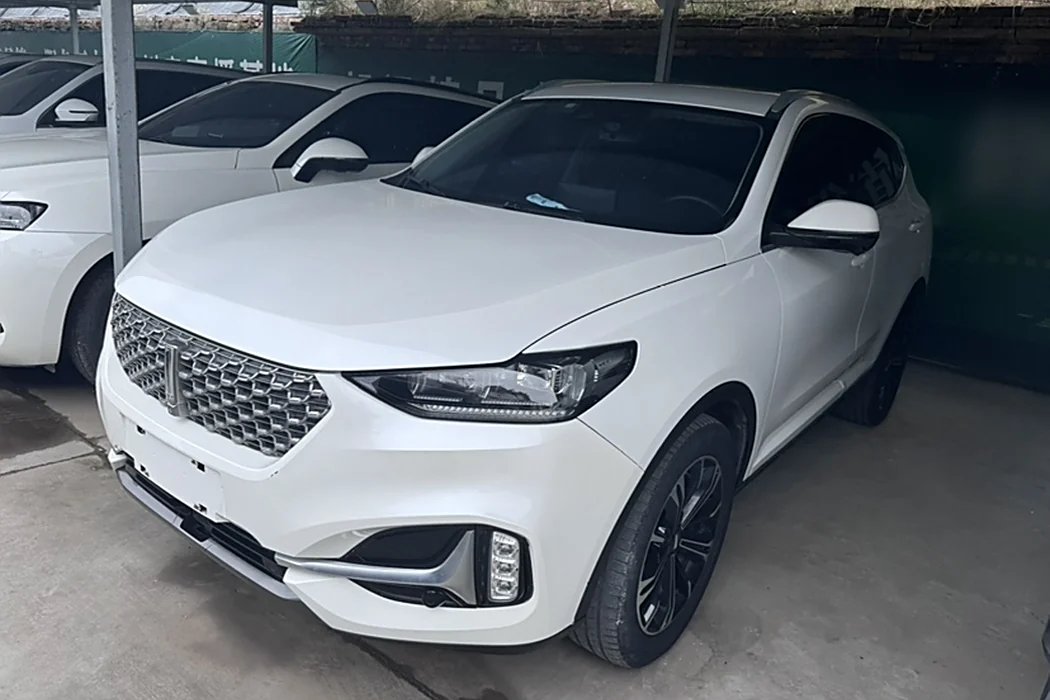 Wei brand VV6 2021 2.0T two-wheel drive smart enjoy+