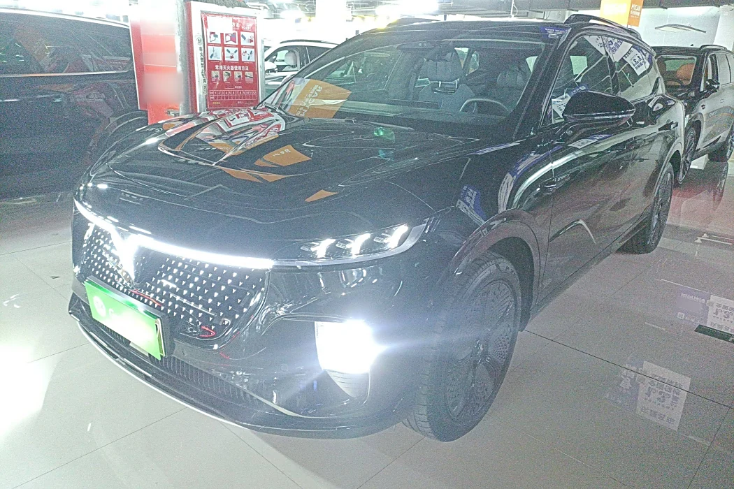 Lantu Car Lantu Soulmate 2024 Four-wheel drive Global Edition