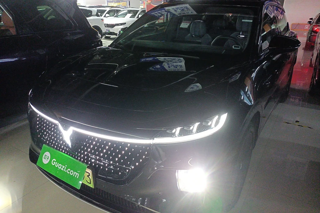 Lantu Car Lantu Soulmate 2024 Four-wheel drive Global Edition