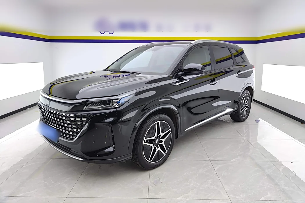 Blue Electric E5 2023 1,5л DE-i 110 км флагманский 7-местный автомобиль