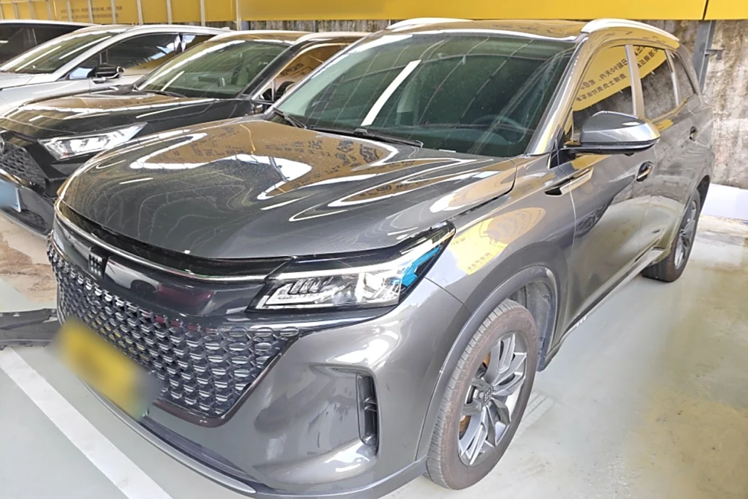 Blue Electric E5 2024 Glory Edition 100km Exclusive 7-seater