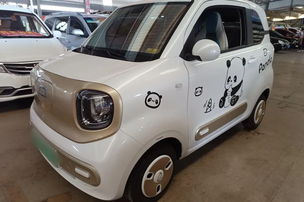 Pentium Pony 2025 222km Smart Horse