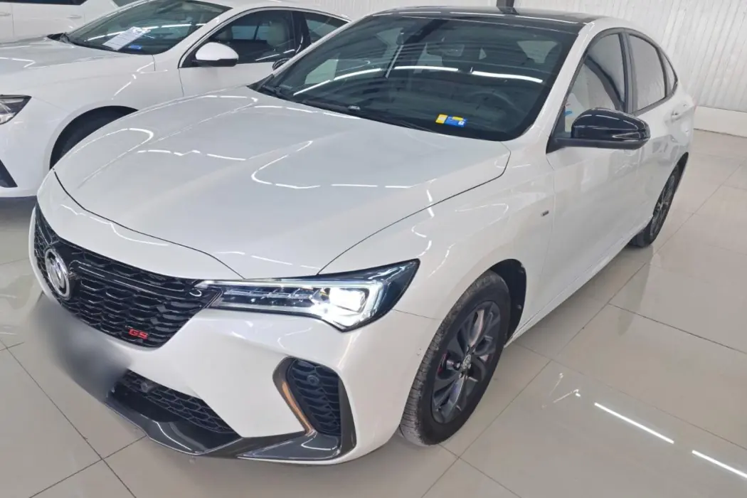 Buick Weilang 2023 Pro GS Blast Edition