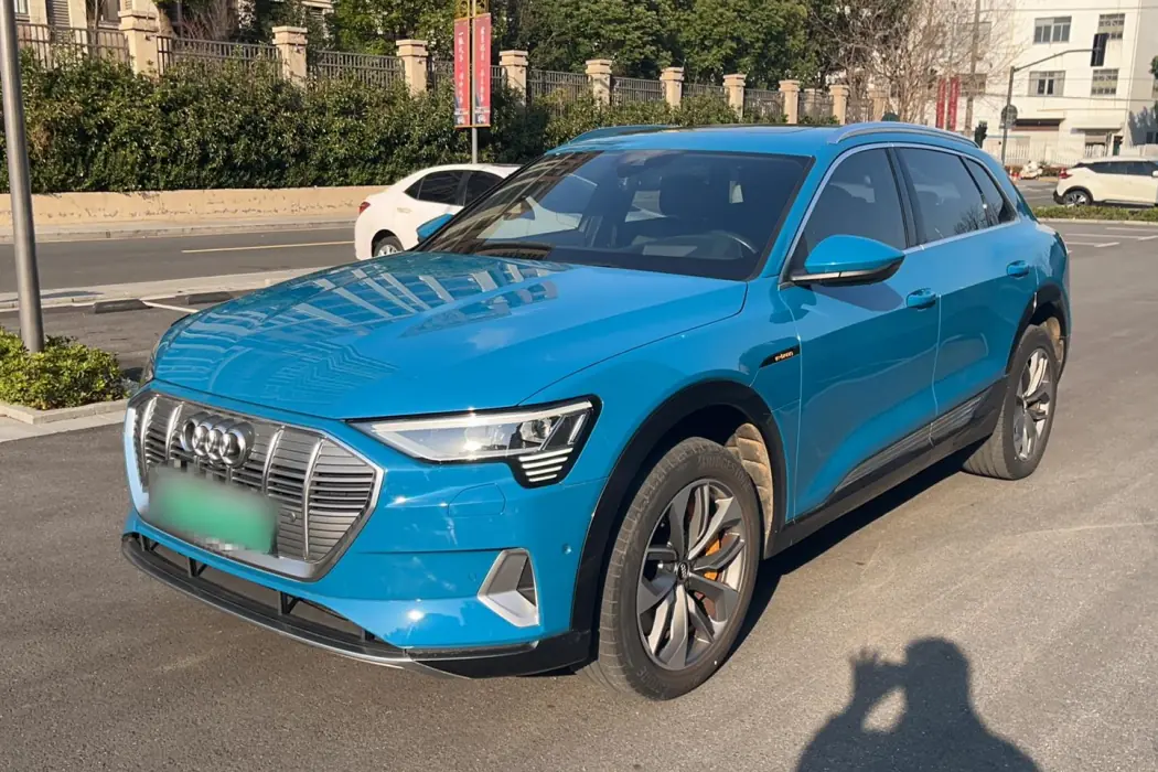 Audi e-tron (imported) 2019 model 55 quattro Global Limited Edition Edition 1