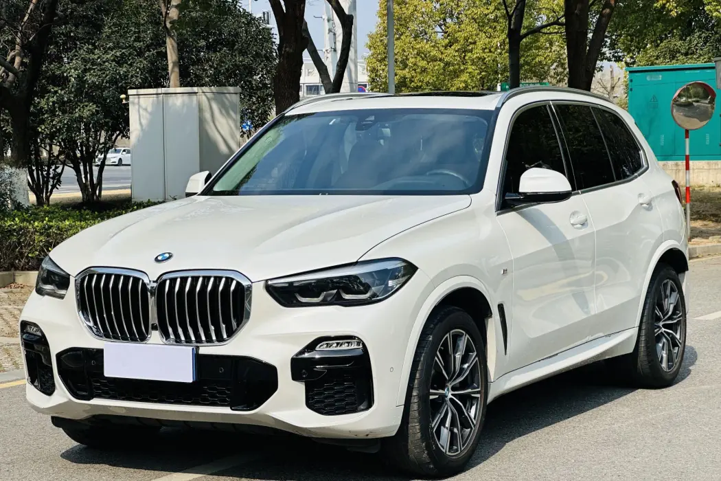 BMW X5 (Import) 2019 xDrive30i M Sport Package