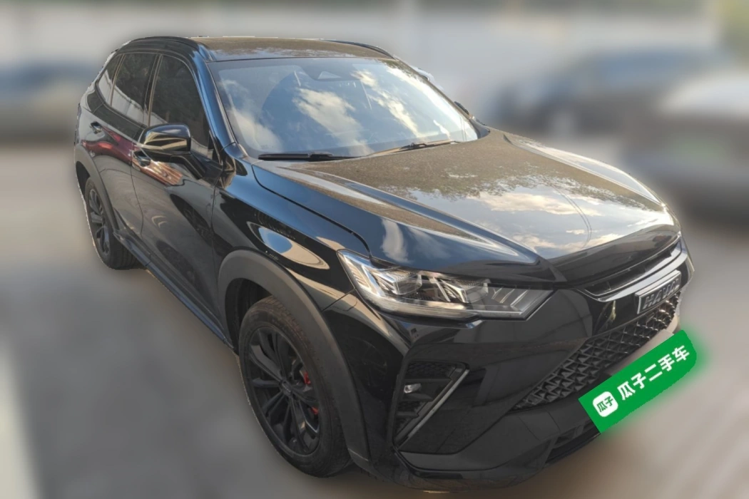 Haval H6S 2022 2.0T two-wheel drive smart running version