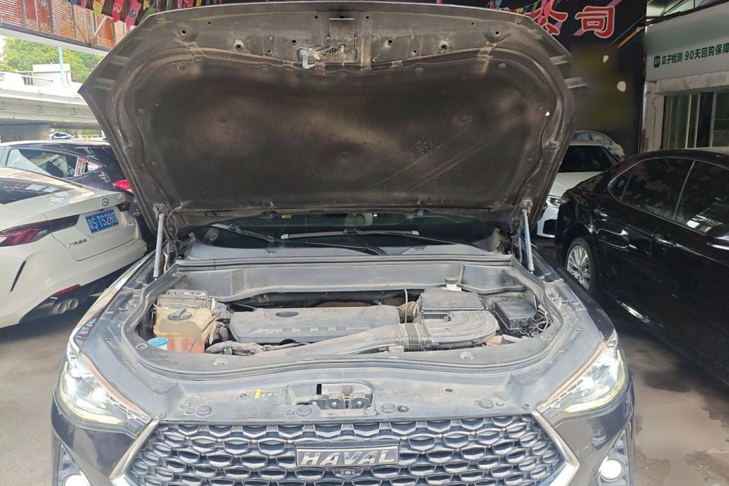 Haval F7x 2019 2.0T two-wheel drive extremely intelligent technology version
