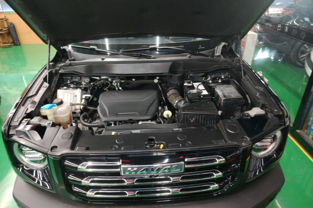 Haval Big Dog 2022 1.5T DCT Two-wheel drive Side Shepherd Version