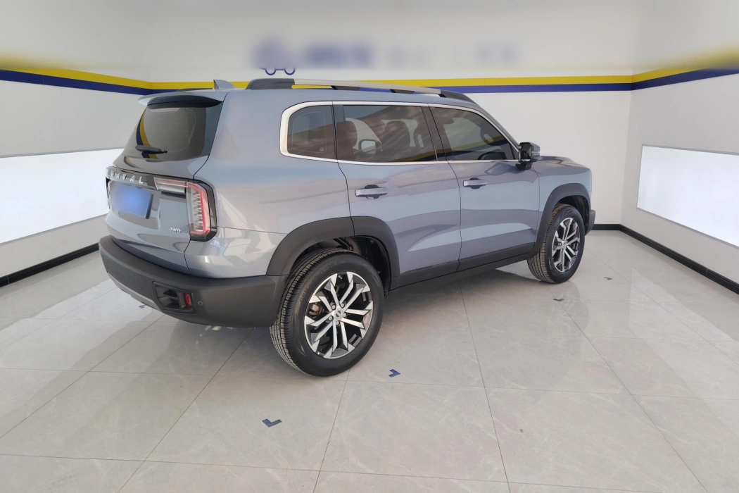 Haval Big Dog 2022 1.5T DCT Two-wheel drive Side Shepherd Version