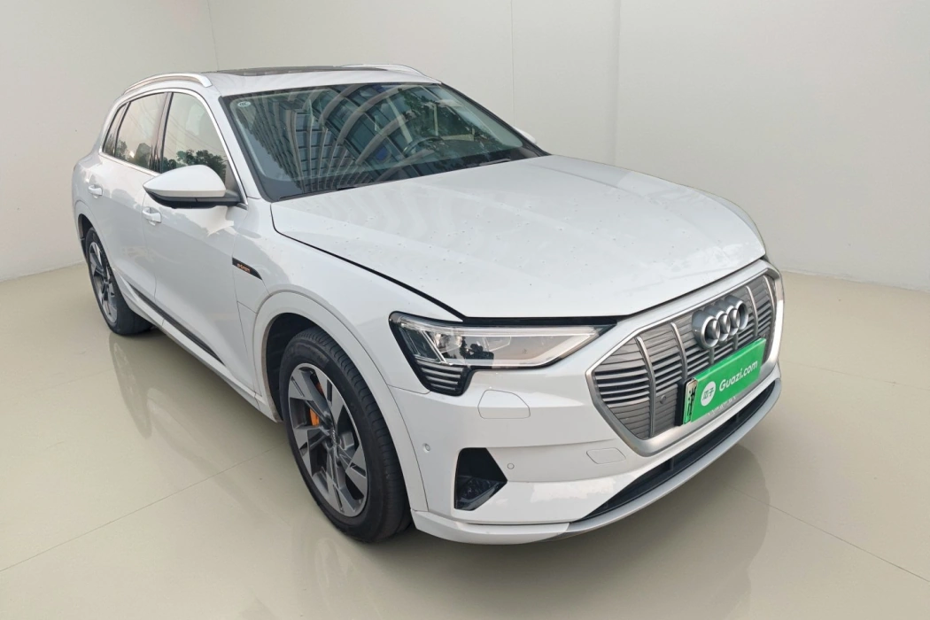 Audi e-tron (imported) 2019 model 55 quattro technical type