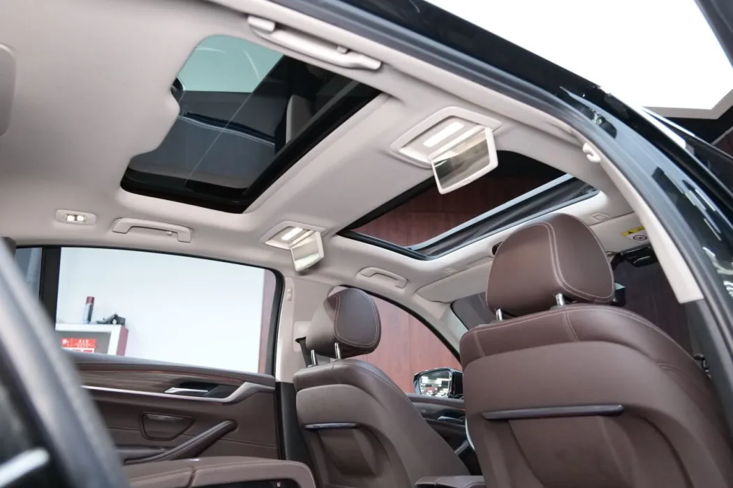 BMW 5 Series 2020 530Li xDrive Luxury Set