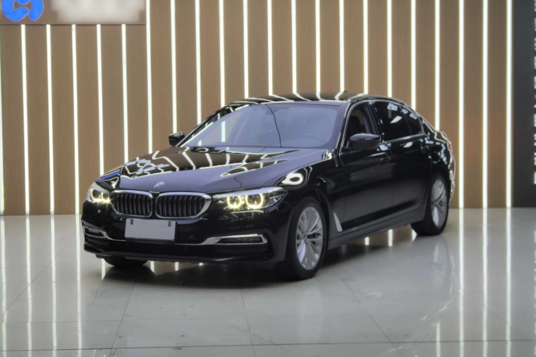 BMW 5 Series 2019 530Li leading luxury set