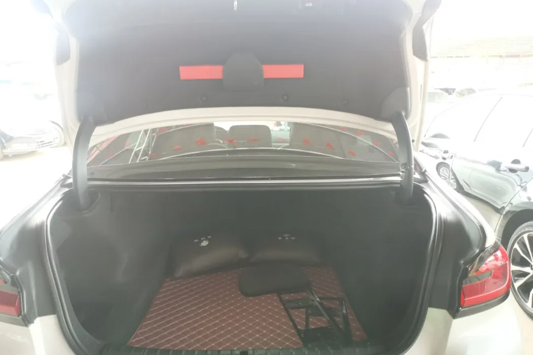 BMW 5 Series 2019 facelift 530Li leading luxury set