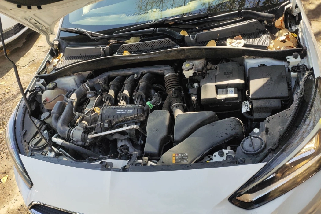 Фото машины 11