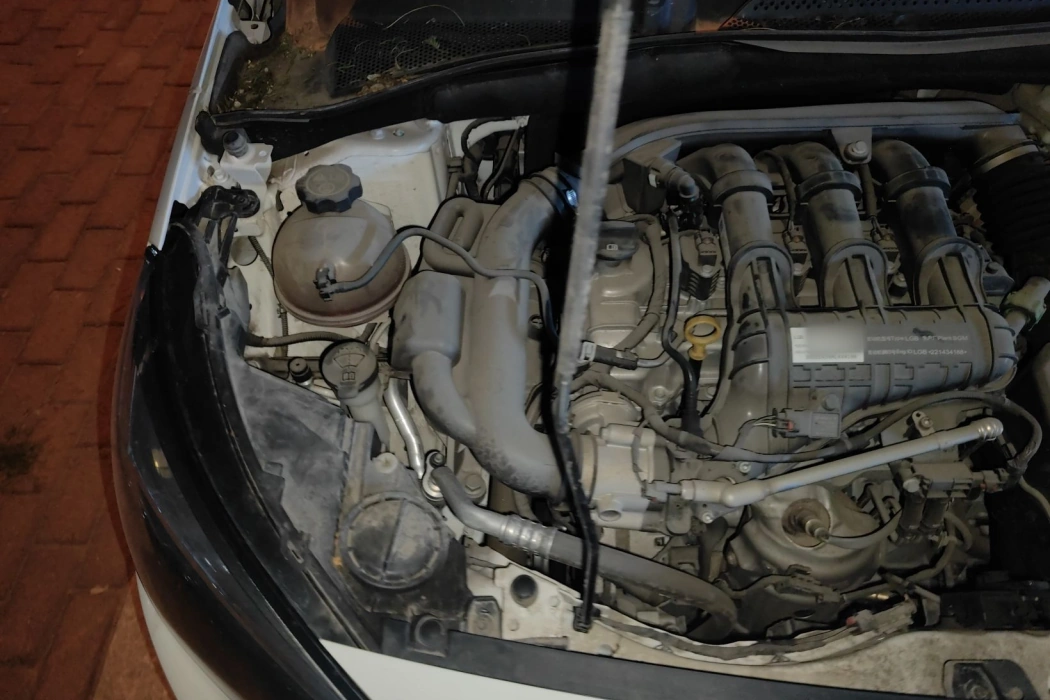 Фото машины 24