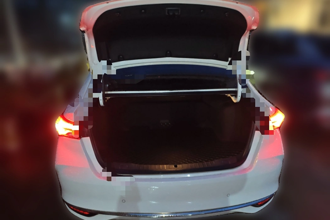 Buick Weilang 2022 Pro 533T Enjoy Edition