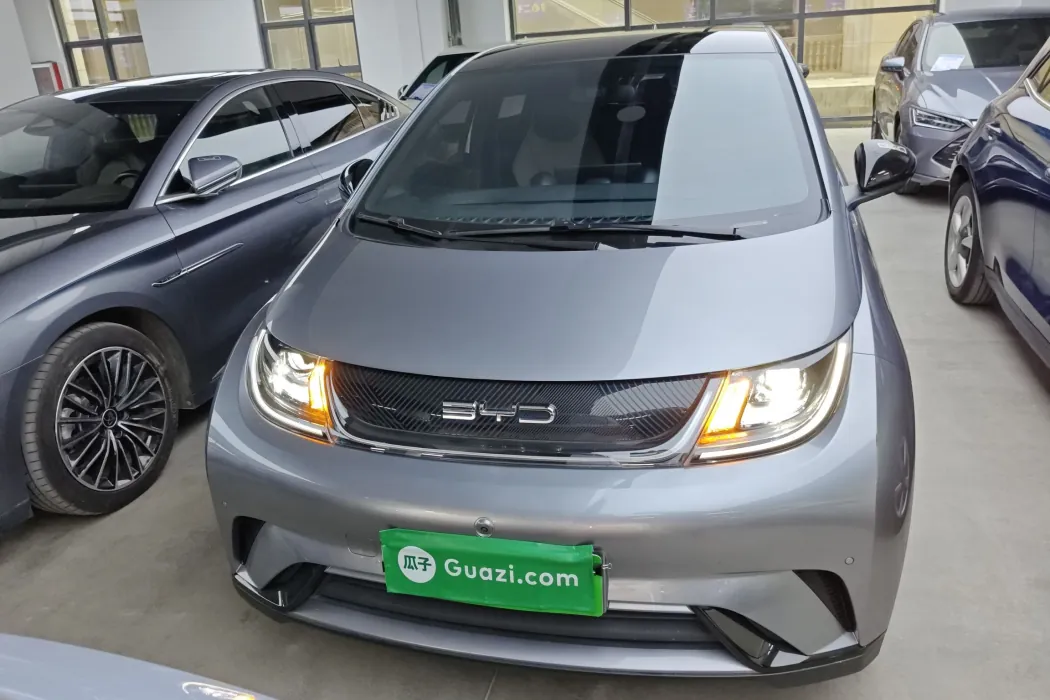 BYD Dolphin 2023 420km Fashion Version