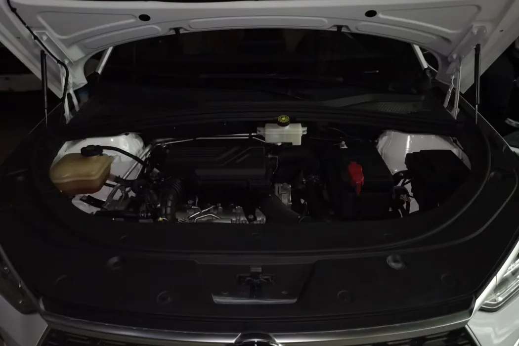 BYD Song PLUS 2020 1.5T automatic Luxury