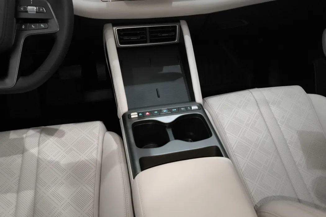 BYD Yuan UP 2025 model 301KM pilot type