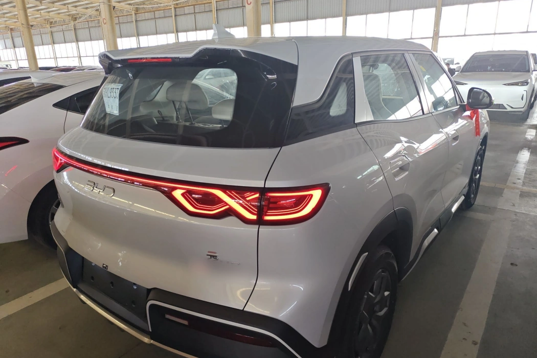 BYD Yuan UP 2025 model 301KM pilot type