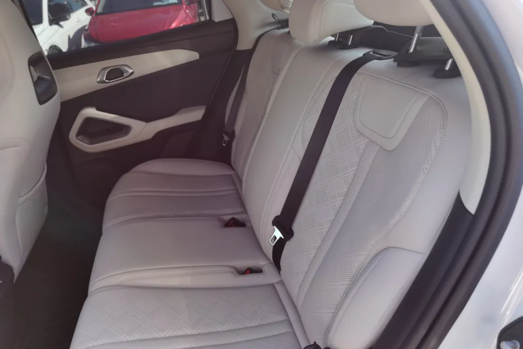 BYD Yuan UP 2025 model 301KM pilot type