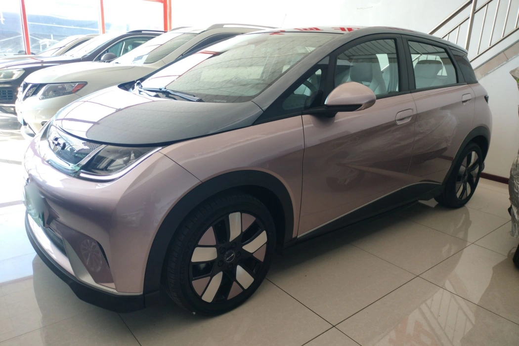 BYD Dolphin 2021 401km Knight Edition