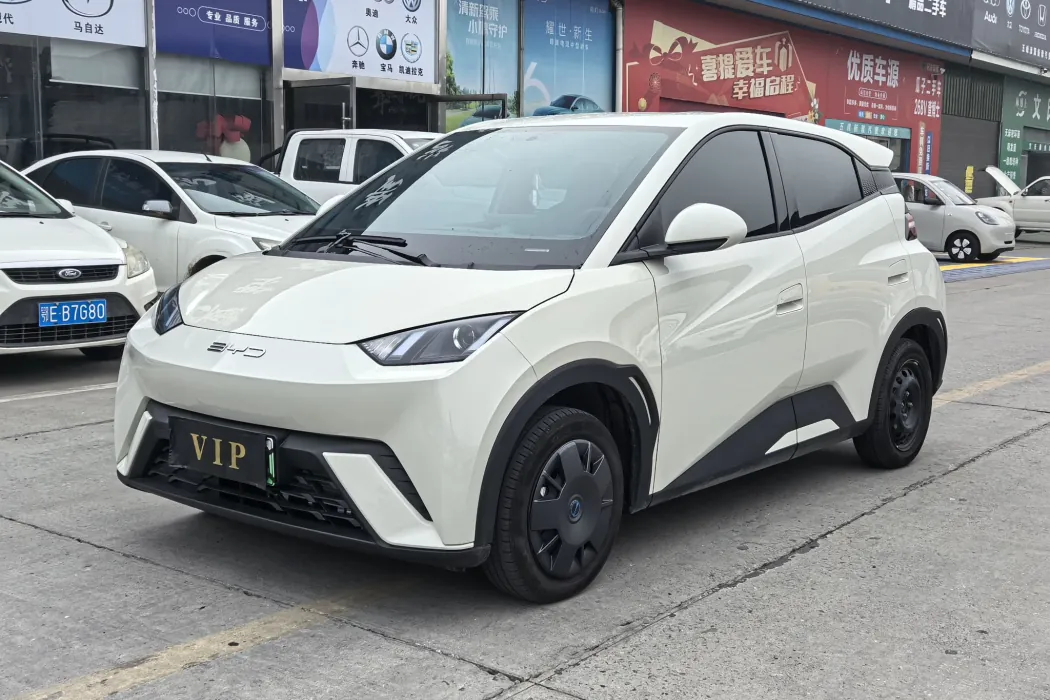 比亚迪 海鸥 2025款 智驾版 305km 活力版